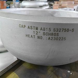 Duplex/Super Duplex Pipe Fittings Duplex/Super Duplex Pipe Fittings